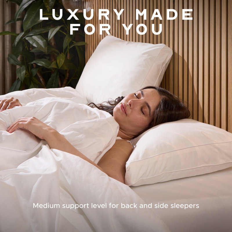 Luxurious Hotel Snuggledown Back Sleeper Medium Support Cotton Cover Pillow