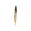 Fall Feathers III Painting by Elena Carlie-26950616-26950611