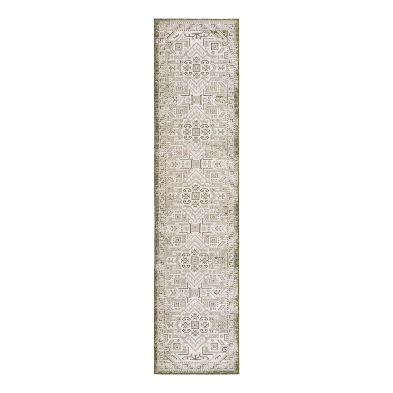 Alvenia Indoor / Outdoor Rug, Runner 2'7" x 12'