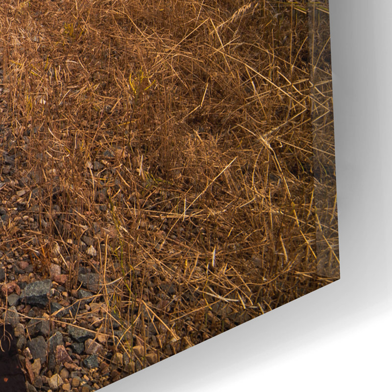 «Train Track Sunset 1» par Joe Reimer, photographie, art en verre acrylique, H 12 po x l 16 po x P 0,13 po