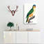 Black-Lored Parrot by F. Levaillant - Wrapped Canvas Painting-55370424