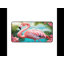 Polyester Desk Pad-1554987938