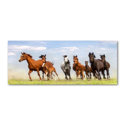 Horses In A Gallop - No Frame Print on Canvas