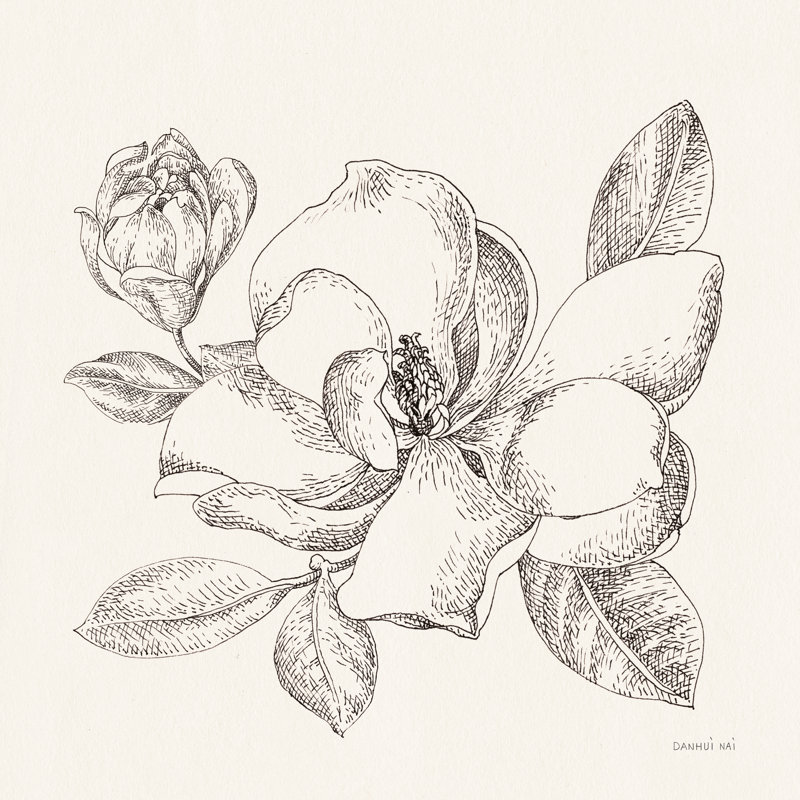 Flower Sketches II Crop by Danhui Nai - Wrapped Canvas Painting, 30cm H x 30cm W