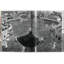 Rome, Portrait Of A City