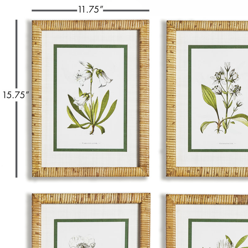 Andel " White Floral Study " 4 - Pieces