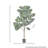 5' UV Potted Fiddle Leaf Fig Tree