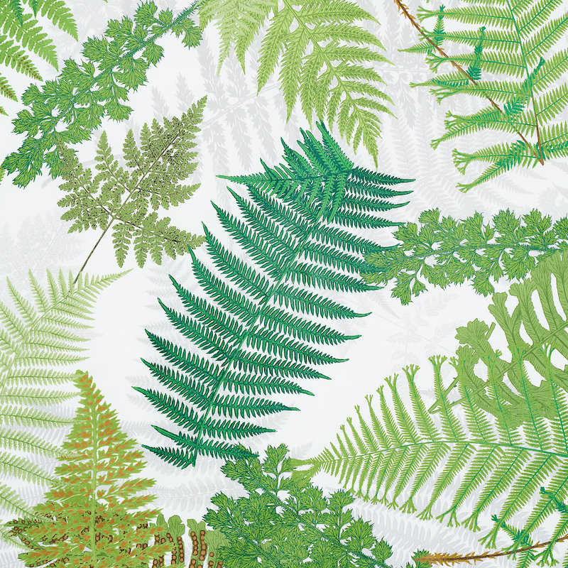 Tissu Schumacher x Clements Ribeiro Fernarium, Vert / ivoire