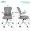 Modern Ergonomic Office Chair with Adjustable Lumbar Support, 360° Swivel Executive Computer Desk Chair with Flip-Up Armrests-455246720