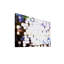 Parvez Taj - Wrapped Canvas Print-12309628