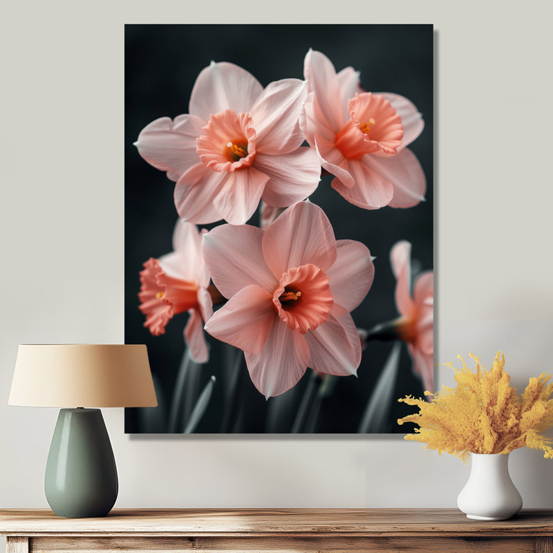 «Pink Black Ethereal Emblem Daffodils» - impression d'art mural jonquilles, H 12 po x l 20 po, Toile tendue