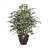 36'' Artificial Ficus Tree in Basket-786982401