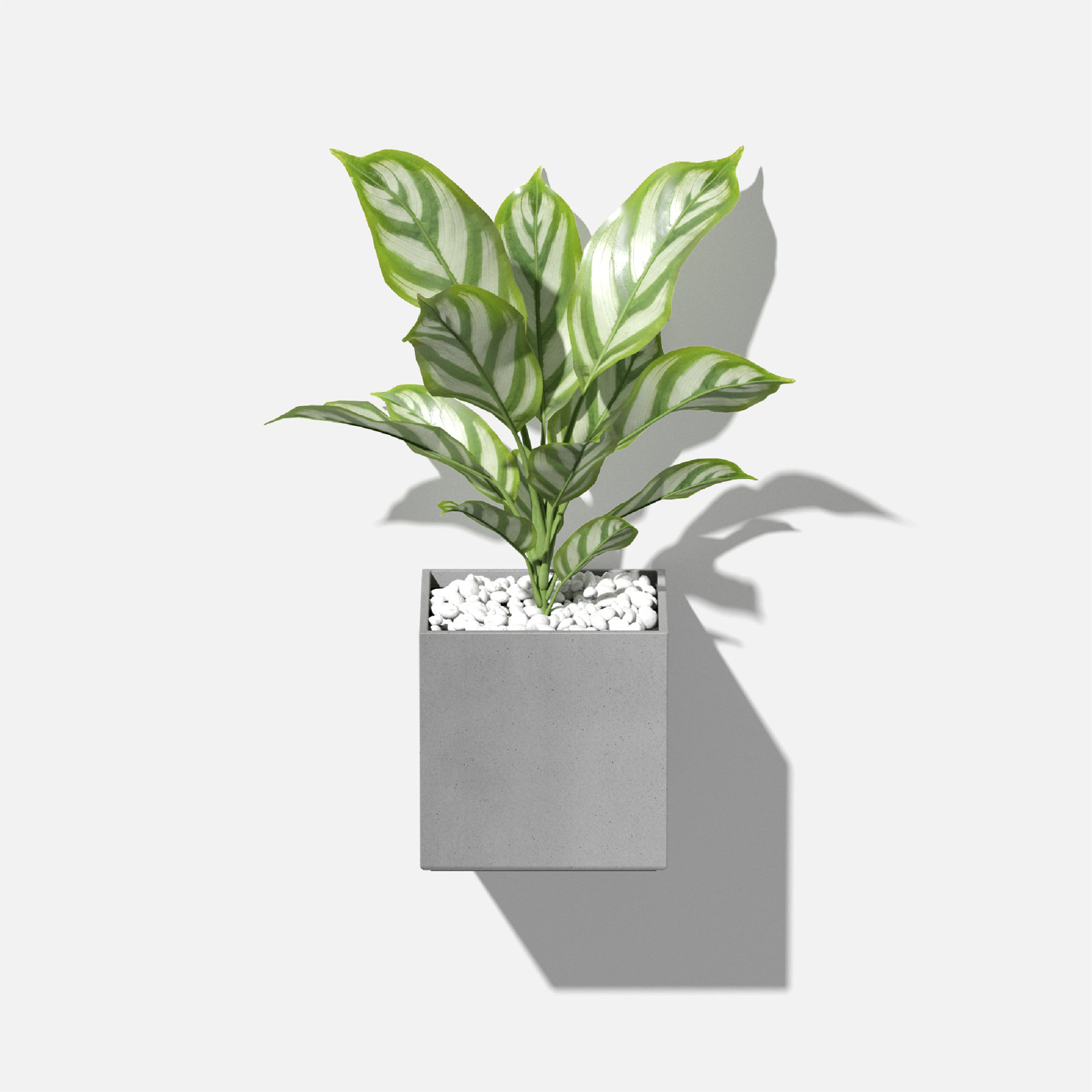 Geo Series 5" Wall Planter, Gray, Set Of 1