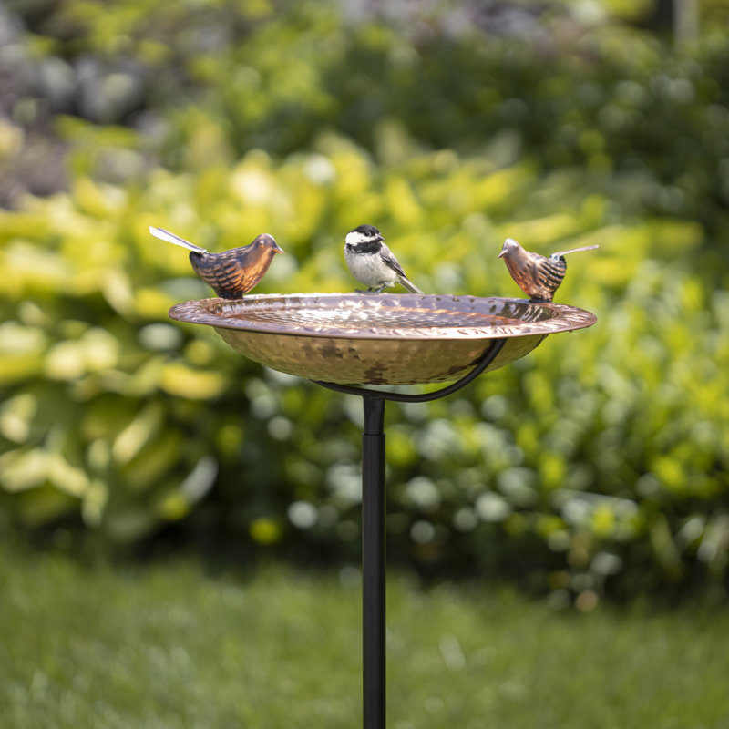 Bain d'oiseaux en cuivre pur