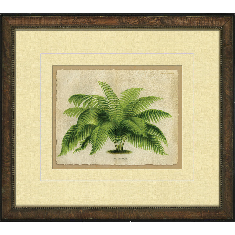 Small Crackled Horizontal Palm I Painting