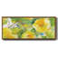 Citron Hibiscus II - toile encadrée-1885036703