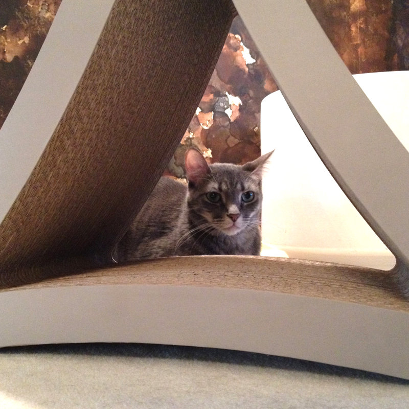 Scratching Post, Large (24" H x 10.5" W x 21.2" D)
