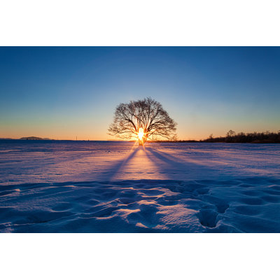 Winter Daybreak Scenery by Wataru Aoki - Wrapped Canvas Print