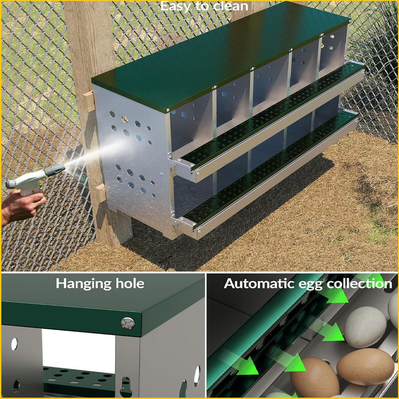 Boîte de nidification en métal pour poules pondeuses, boîtes de poules enroulables à fixation murale antirouille pour poules, étanches, ventilées avec perchoir, 10 compartiments