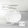 LED Flush Mount