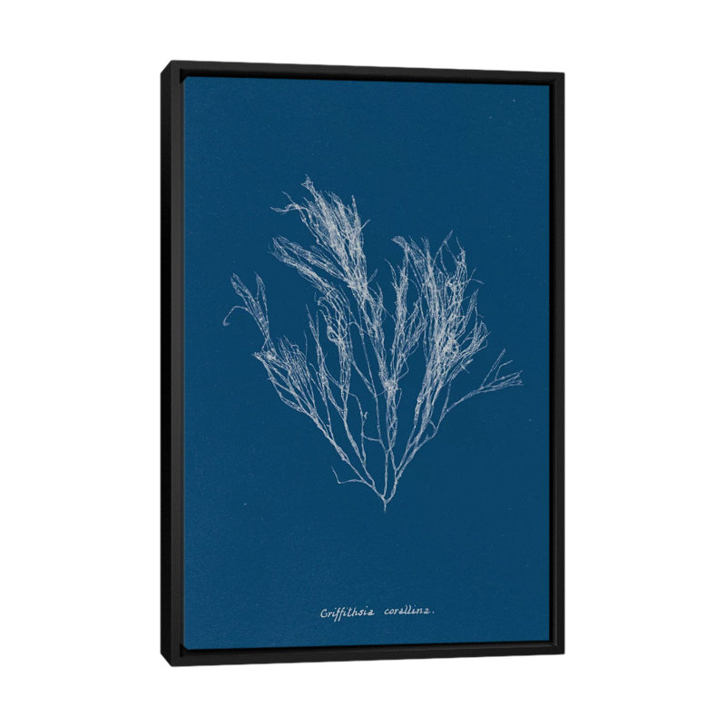 « délicat corail iii », reproduction d’impression sur toile, H 26 po x l 18 po x P 1,5 po, Toile avec cadre noir
