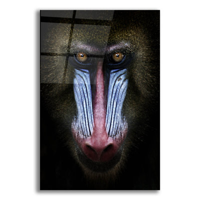 " Mandrill " by SD Smart