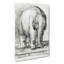 Baby Elephant by Jean Bernard - Wrapped Canvas Print-55363607