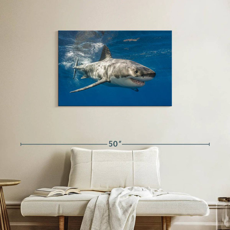 Shark, 24" H x 36" W