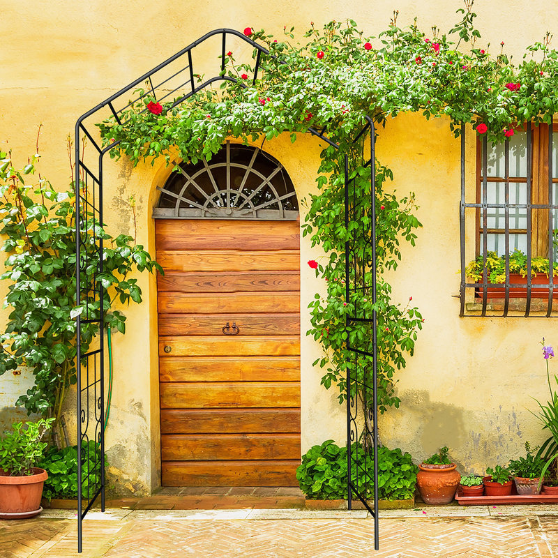 Charmante arche de jardin en métal pour plantes grimpantes, rehaussant la beauté extérieure