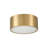 Modern Brass Cylindrical Flush Mount Ceiling Light