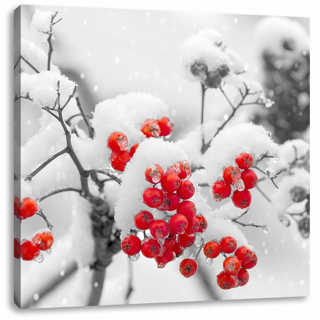 Leinwandbild Rote Vogelbeeren im Winter