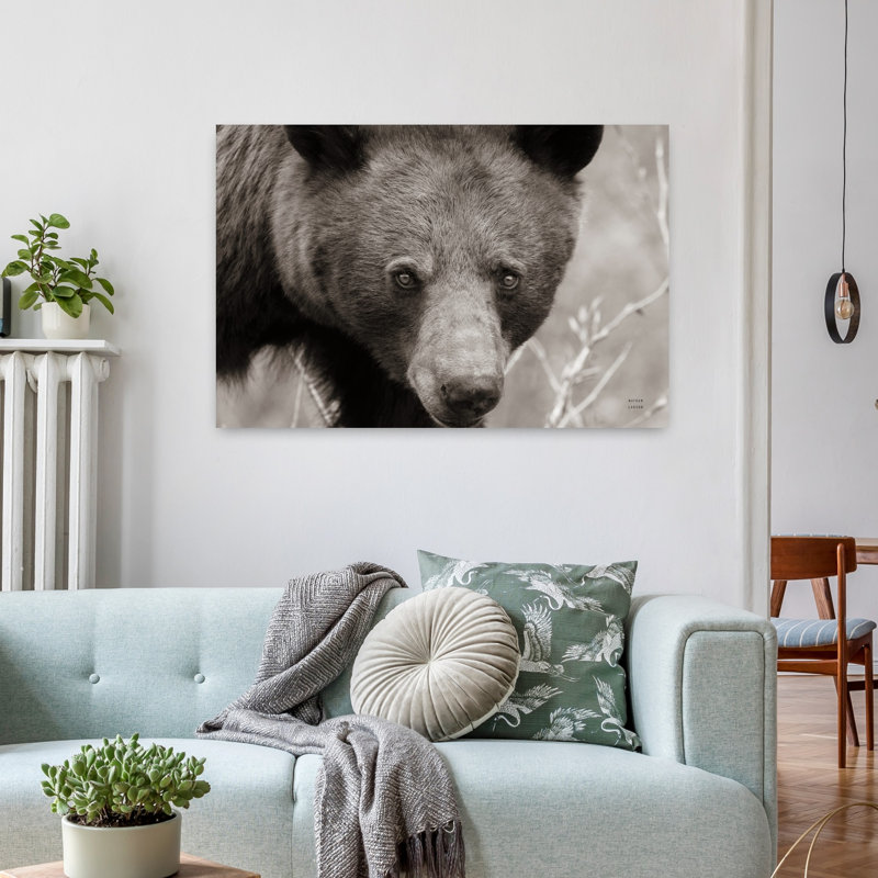 Art contemporain Portrait d'ours contemporain, H 24 po x l 36 po