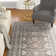Chantae Performance Oriental Rug