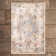 Oriental Indoor Rug