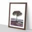 Tree in Tuscany Italy - Picture Frame Painting Print-56855729-56855732