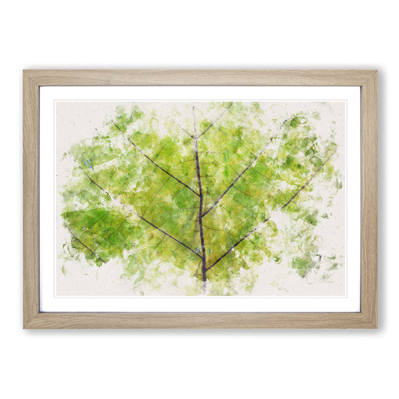 Lines of the Leaf Watercolour - Picture Frame Graphic Art Print, 45cm H x 63cm W x 2cm D, Oak Framed