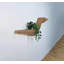 Batamex Parametric 57 "Floating Shelf Tv Unit