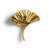 Ginkgo Biloba Brass Novelty Knob Multipack-99312029-106252800