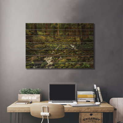 Rainforest Creek