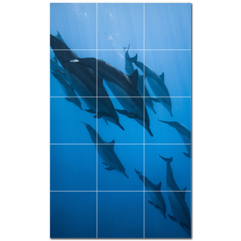 Murale décorative en céramique 4,25 po x 4,25 po Dolphin Photo