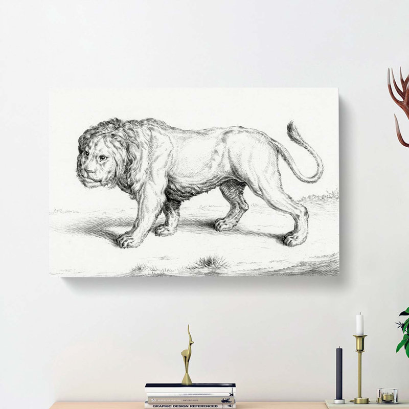 Prowling Lion by Jean Bernard - Wrapped Canvas Drawing Pint - Wrapped Canvas, 35cm H x 50cm W x 3cm D
