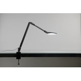 Splitty Reach Adjustable Metal USB Desk Lamp