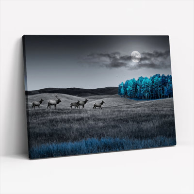 Art mural sur toile Gallery Wrap pour le salon, la chambre à coucher, le bureau ou le vestibule - Décoration murale décorative avec cerf au clair de lune