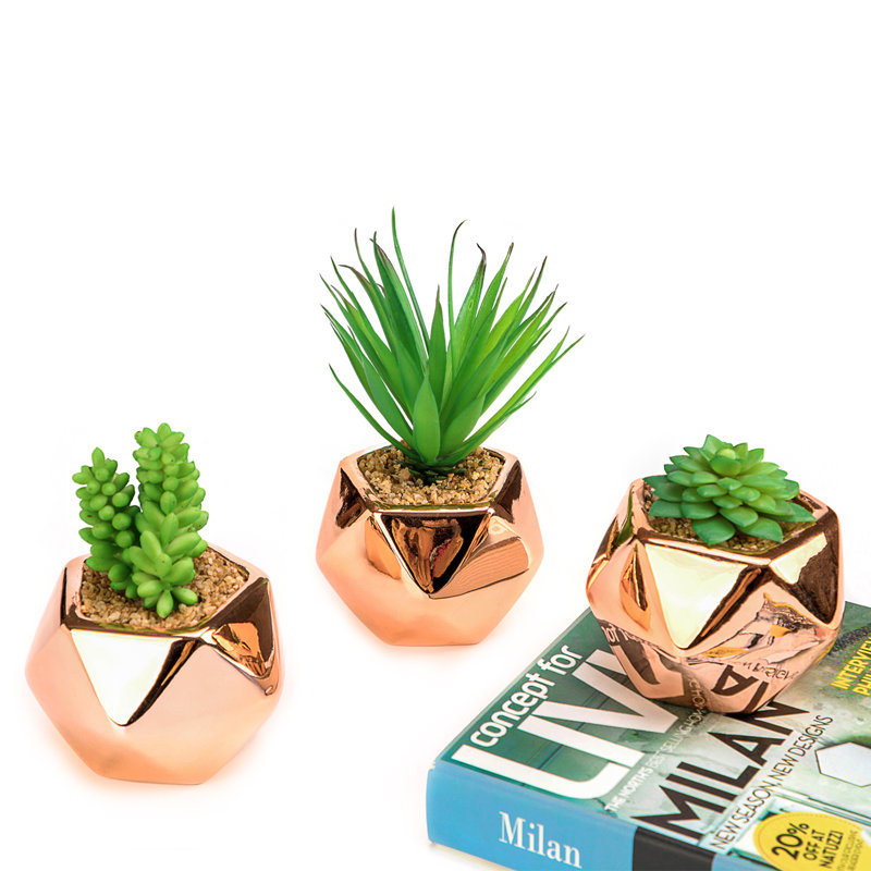 7.5 " H Faux Succulent