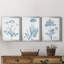 Antique Botanical In Blue IV - Ensemble de 3 peintures sur toile encadrées-855640583-855640582