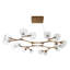 Mahowald 16 - Light Chandelier