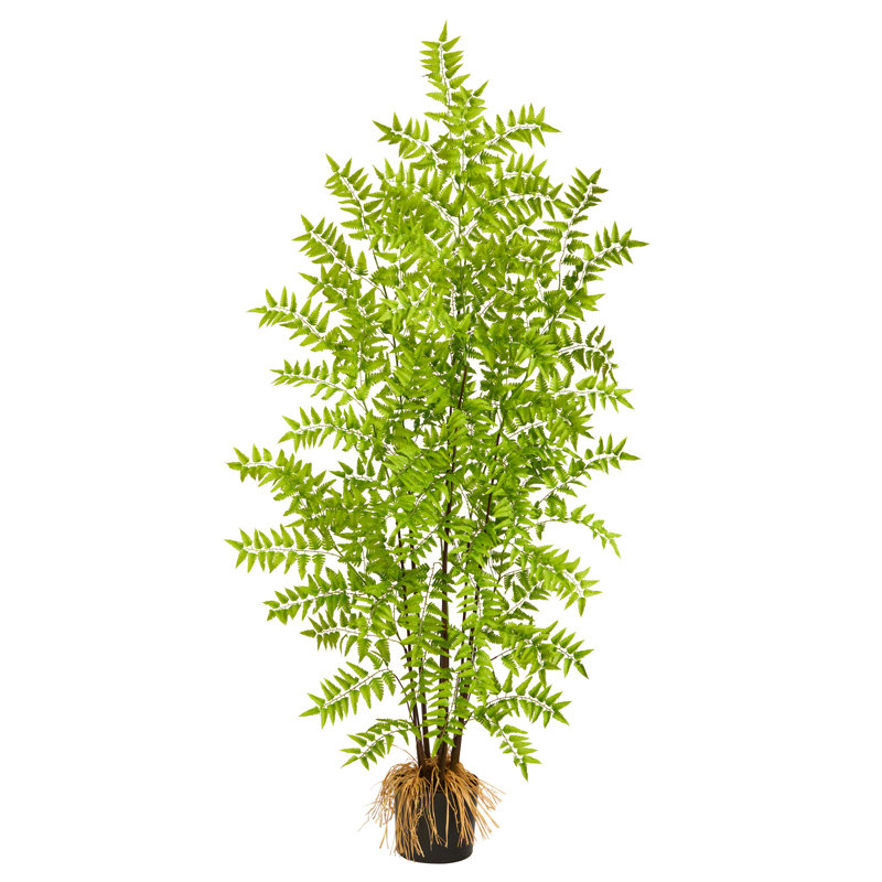 Tree in Pot Liner
