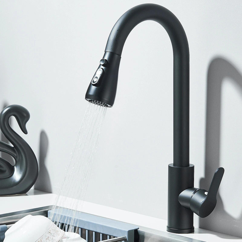 Belfry Kitchen Pull Out Kitchen Faucet