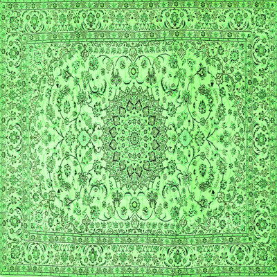 Miaha Performance Floral Indoor Rug