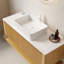 48" Wall Mounted Bathroom Vanity with Sintered Stone Countertop and Sink